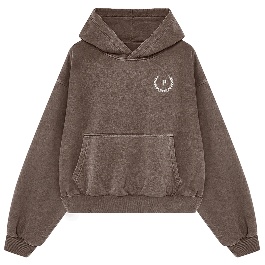 Paxton Take The Risk Hoodie Brown